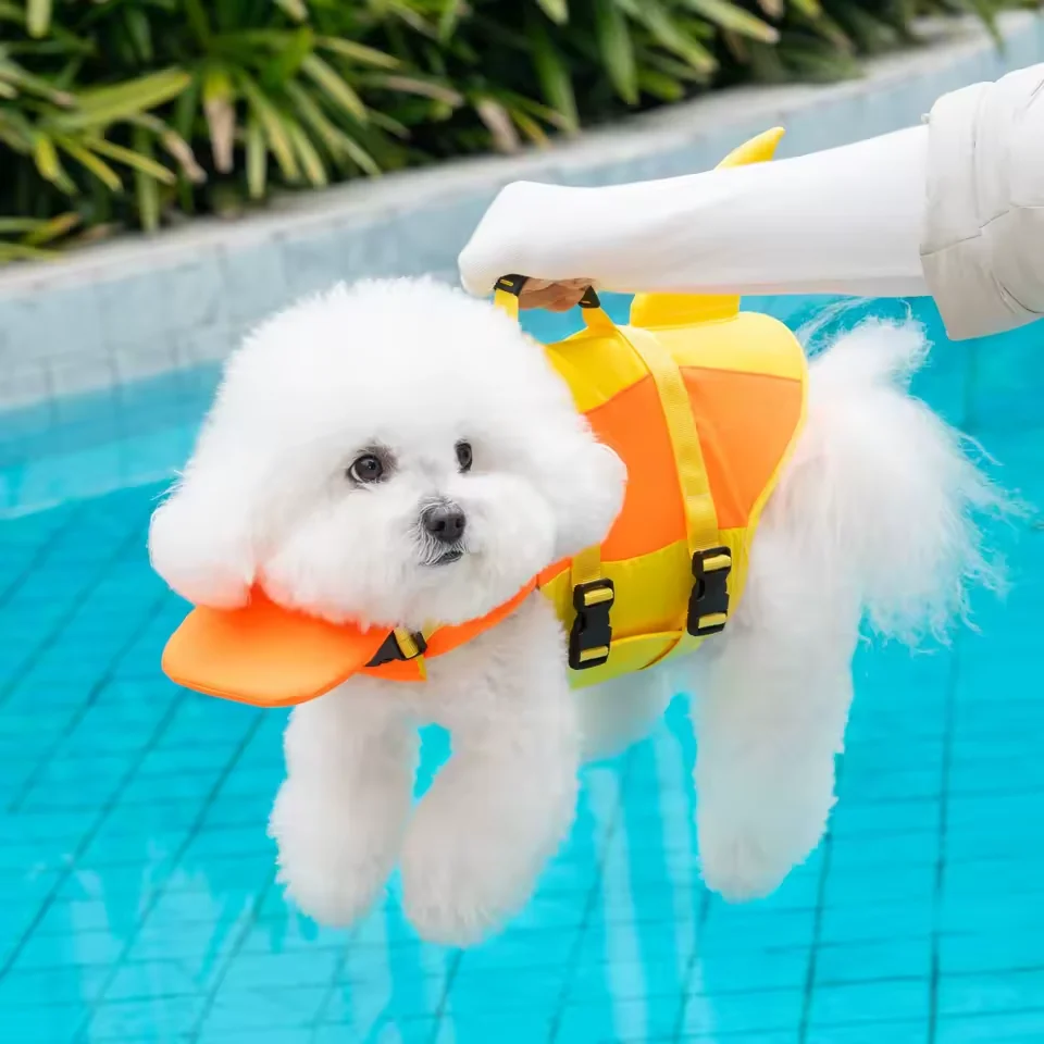 Cane sollevato dall'acqua tramite la maniglia del giubbotto