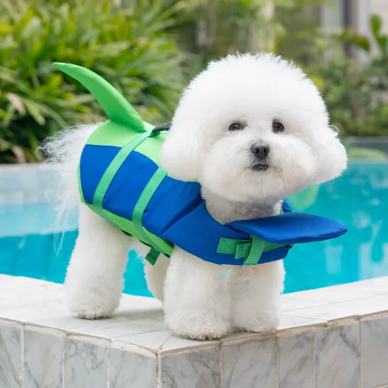 Cane con giubbotto salvagente blu e verde a bordo piscina